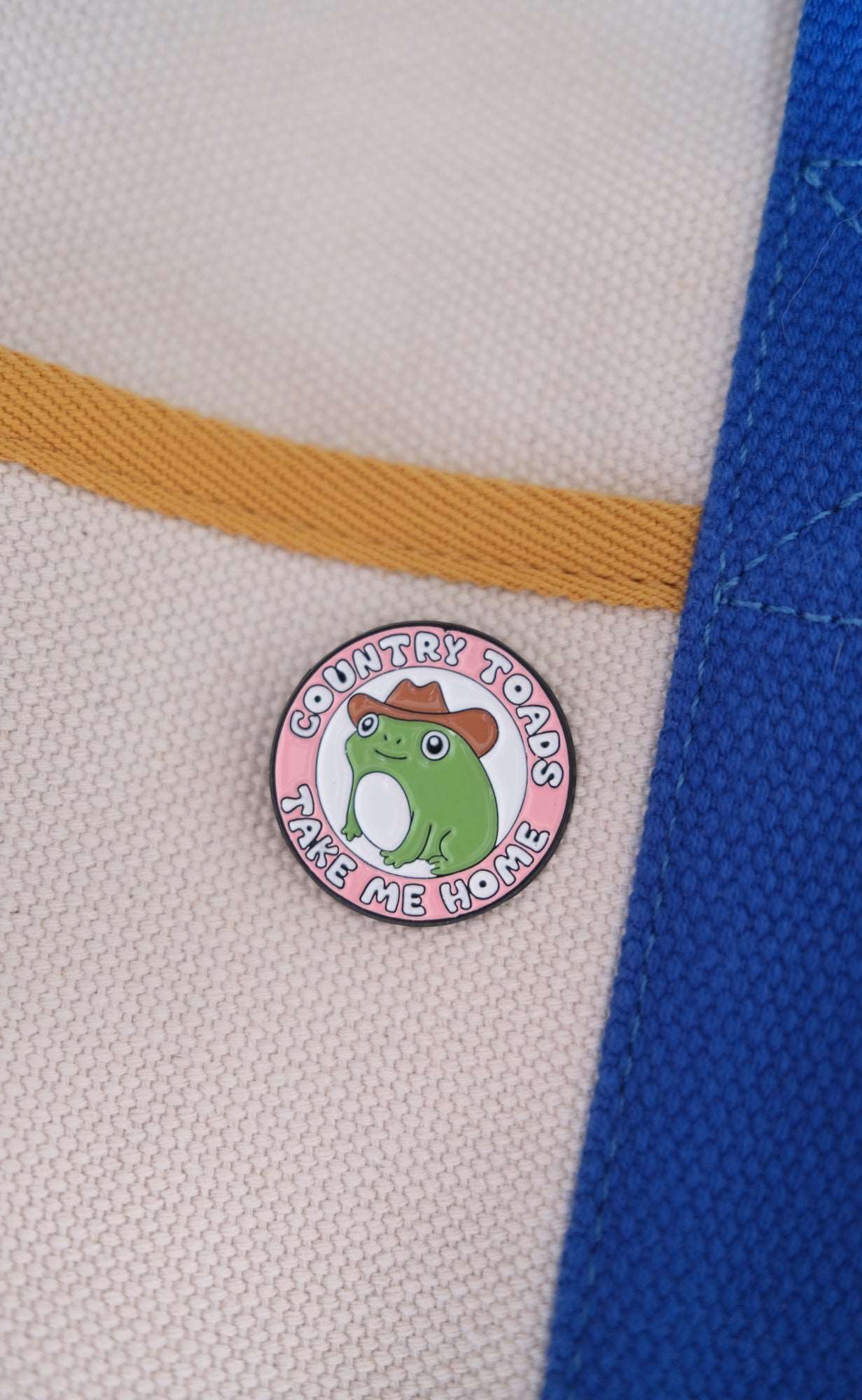 "Country Toads, Take Me Home" Enamel Pin - Image 3