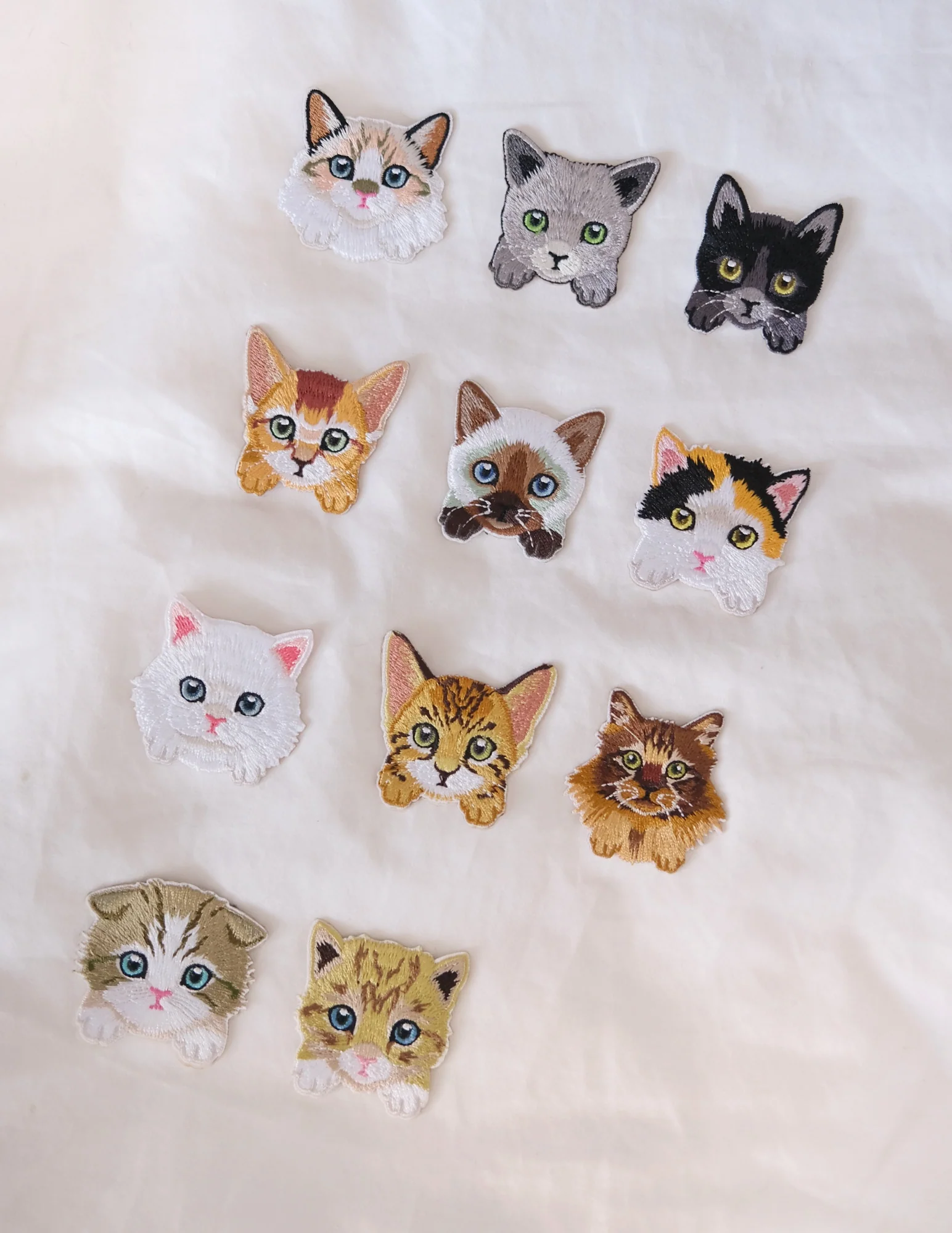 Maine Coon Kitten Iron-on Patch - Image 4