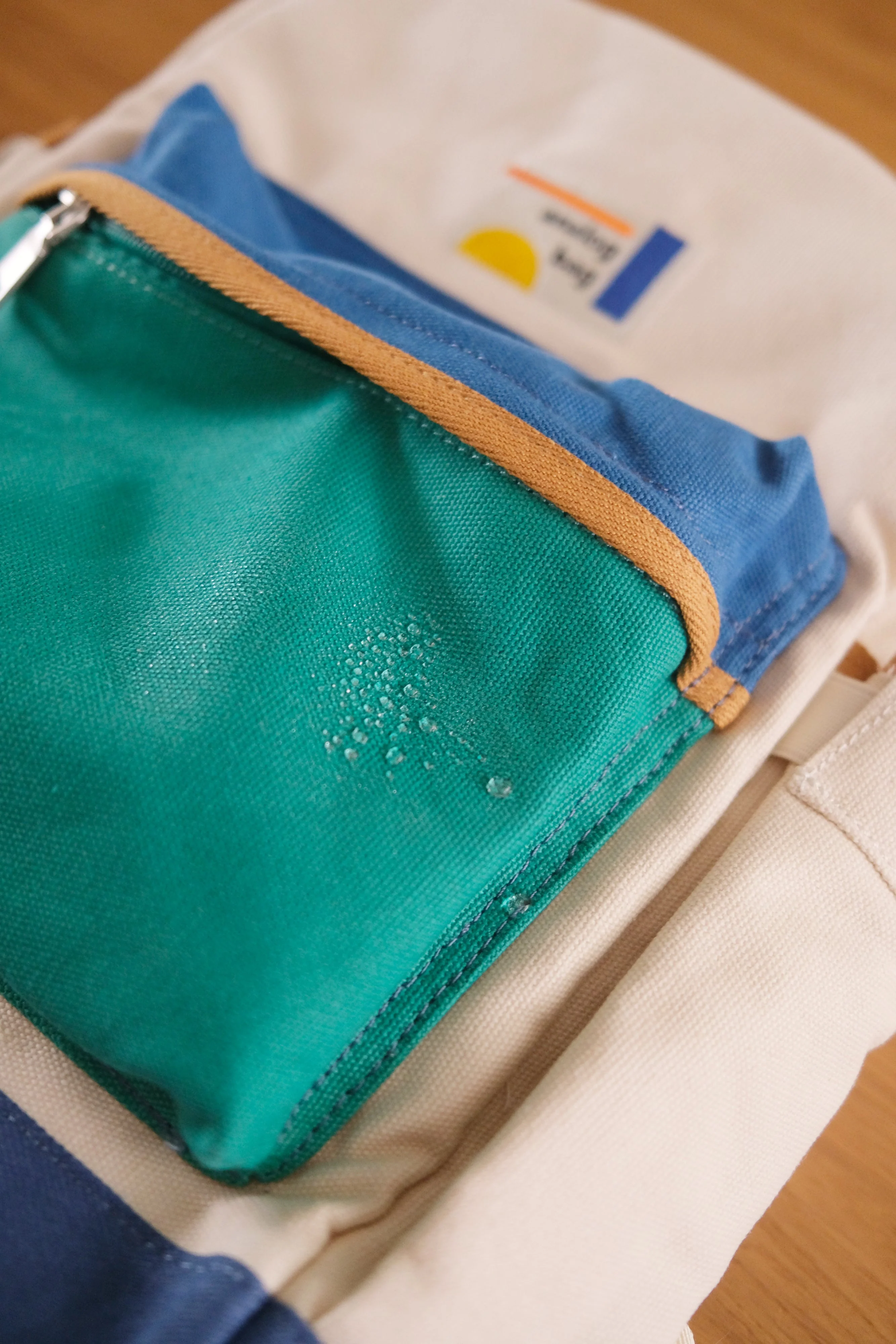 Preorder: Analog No.1 Backpack v2 (Water Repellent Canvas) - Image 9