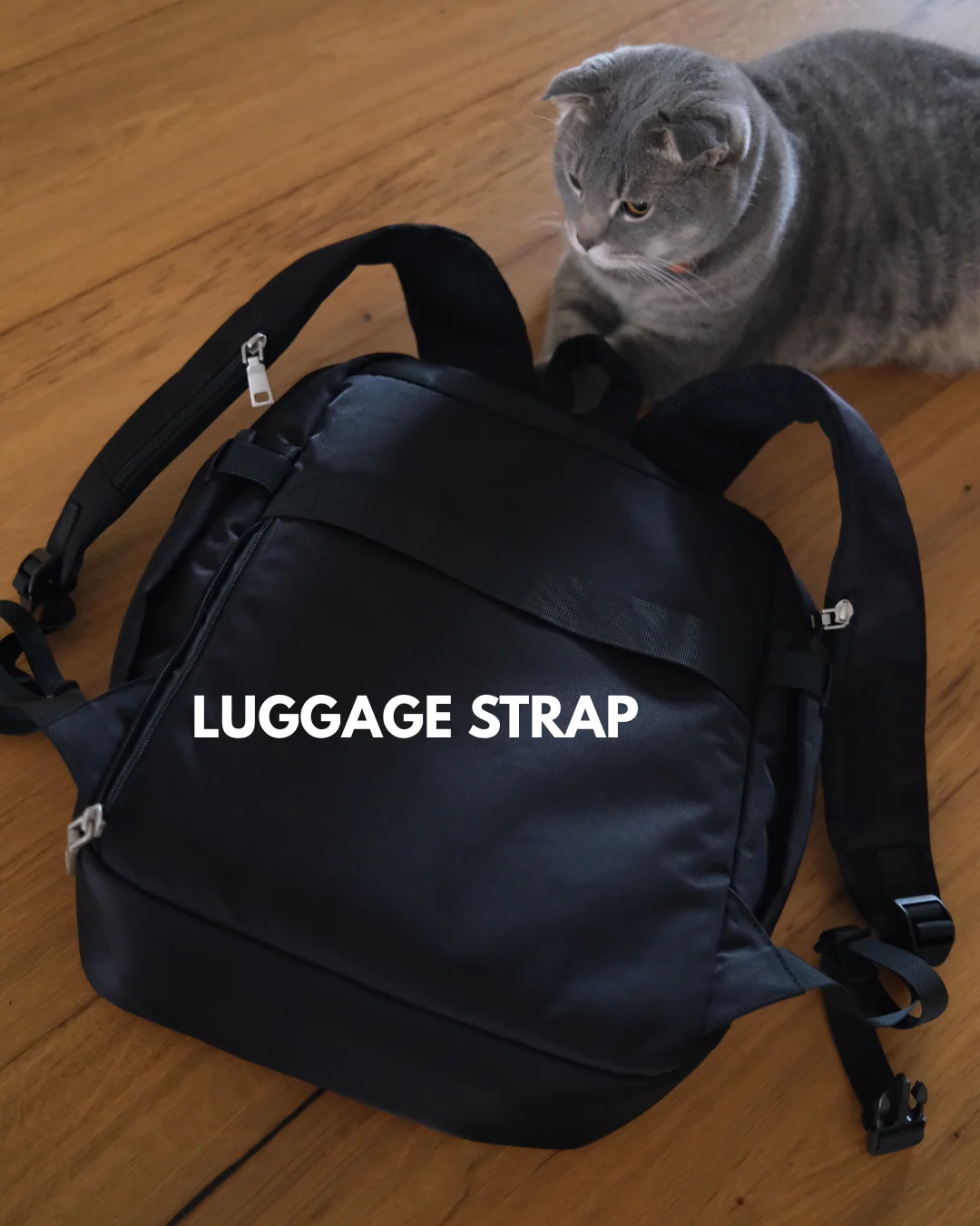 The Analog Backpack v2 (Water Repellent Nylon) - Image 6